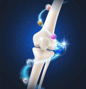 nutrition and calcium intake